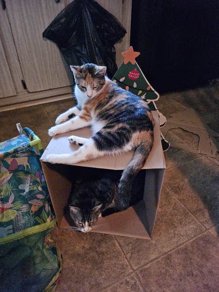 Entry image for Victoria & Callie. Clicking this image will show a larger photo