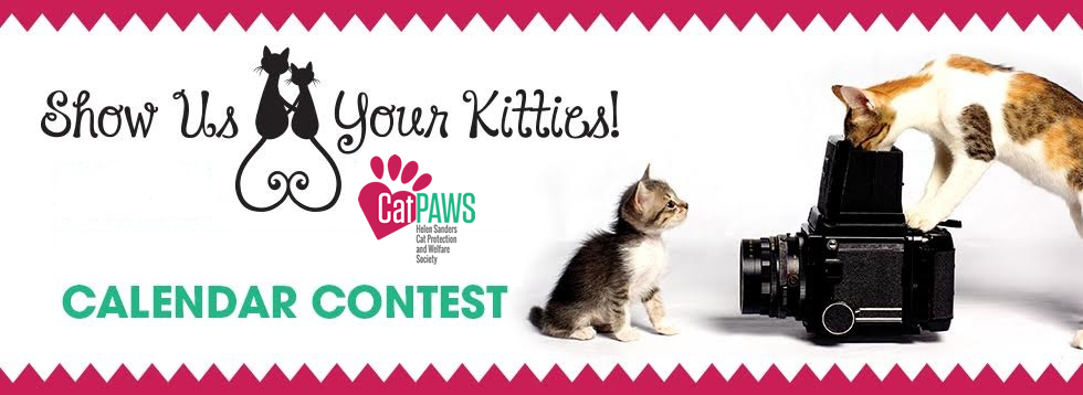 Banner for Show Us Your Kitties!