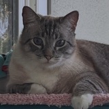 Entry image for Jack