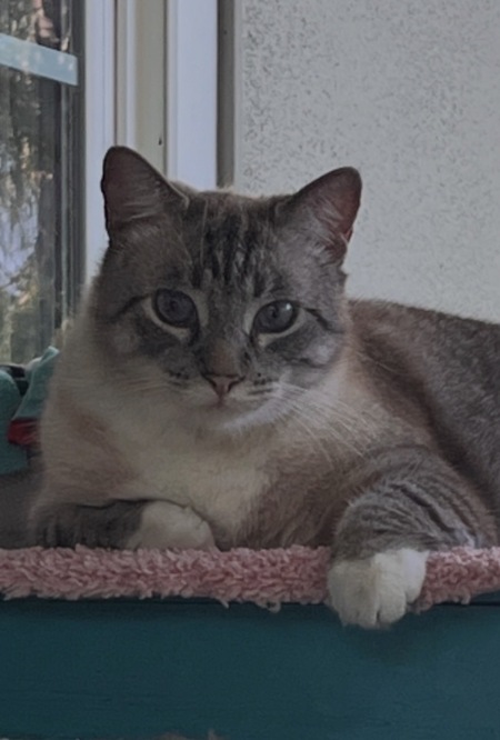 Entry image for Jack. Clicking this image will show a larger photo