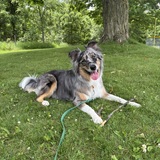 Entry image for Otis 