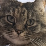 Entry image for Margot 