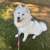 Entry image for Yuki