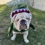 Entry image for Sullivan 