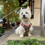 Entry image for Winnie
