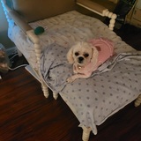 Entry image for Pink 