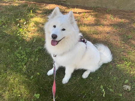 Entry image for Yuki. Clicking this image will show a larger photo