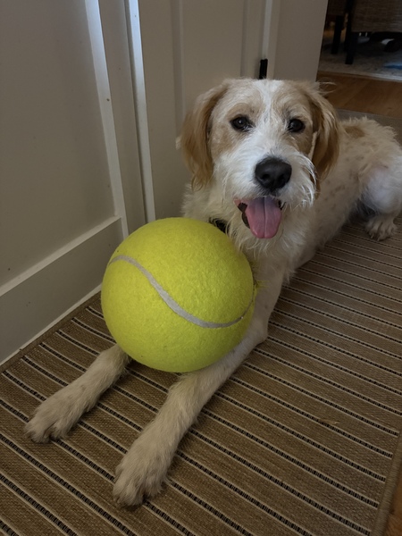 Entry image for Walter. Clicking this image will show a larger photo