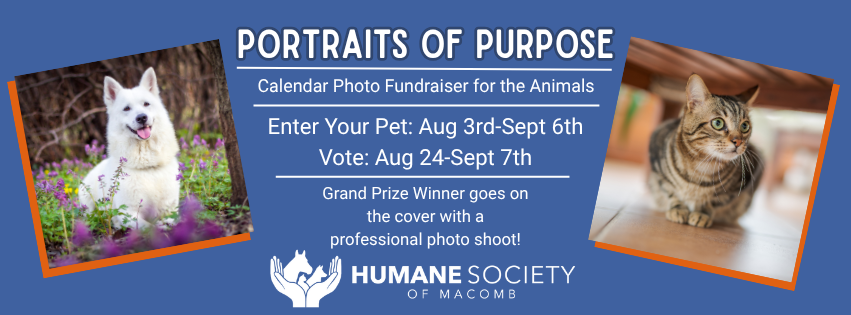 Banner for Portraits of Purpose - Calendar Photo Fundraiser