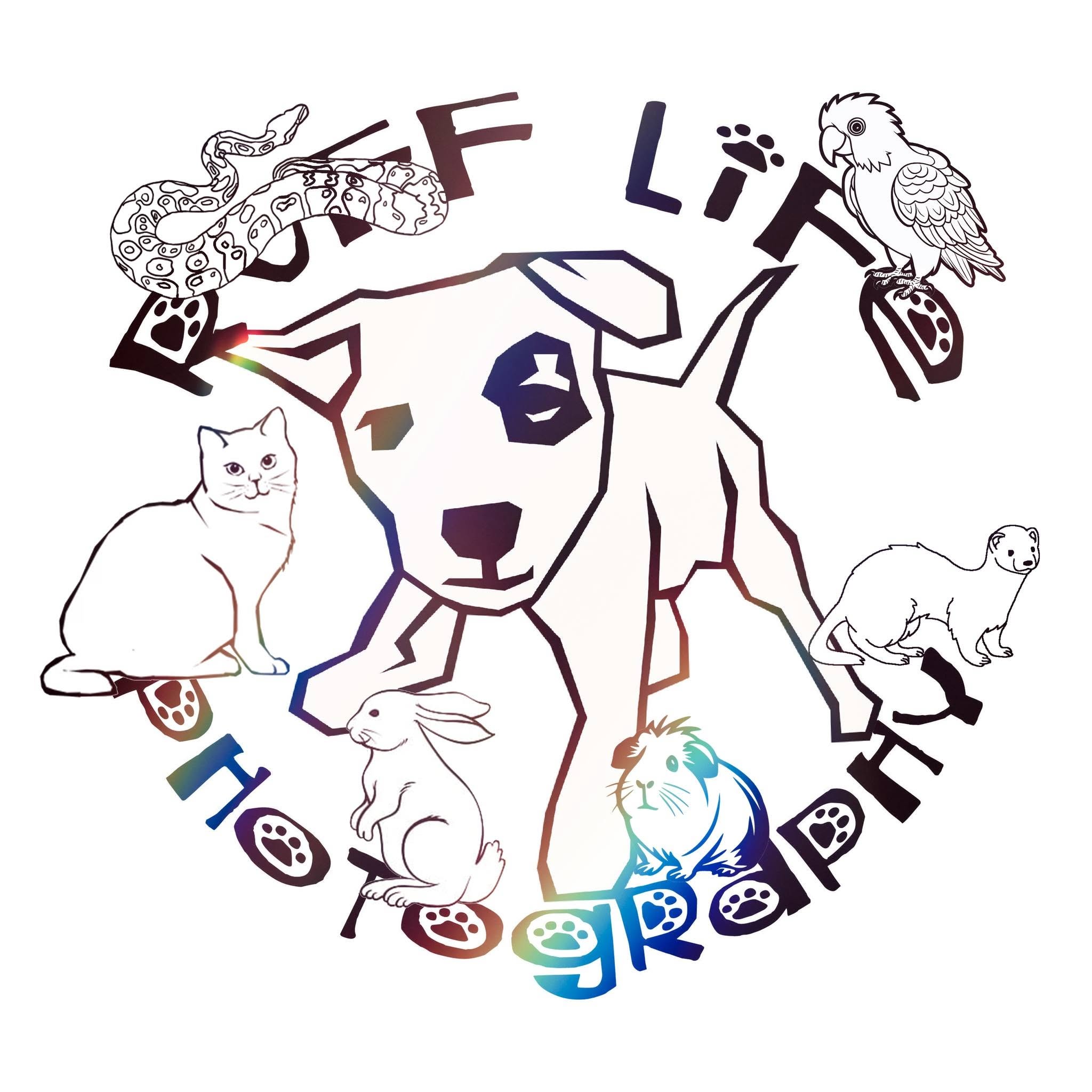 https://rufflifephotography.com/