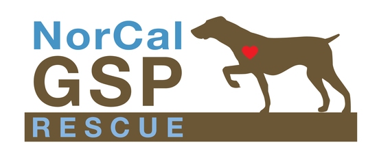 Logo for NorCal German Shorthaired Pointer Rescue Calendar Photo Contest 2027