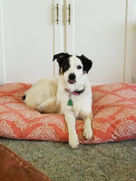 Jasper May