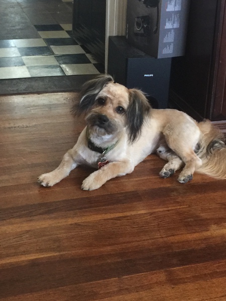 Benny