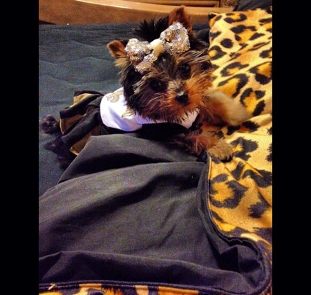 Zoey
