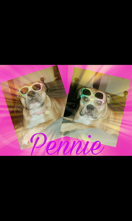 PENNIE