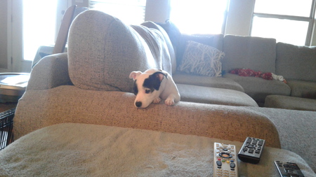 Molly