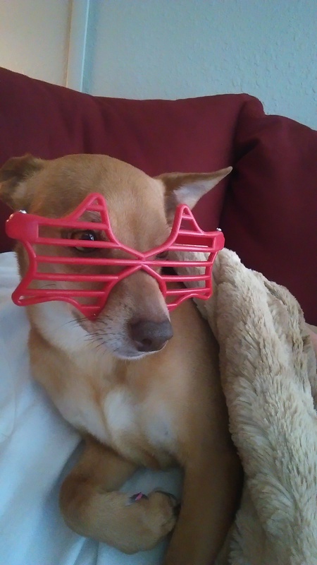 Foxy Roxy