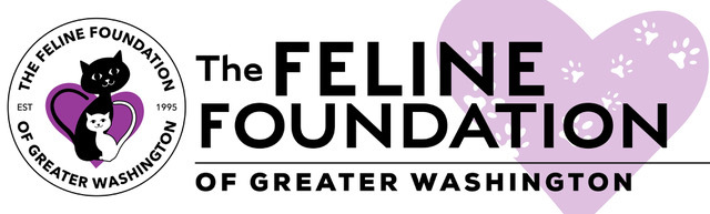 Logo for FFGW 2027 Fabulous Feline Calendar Contest