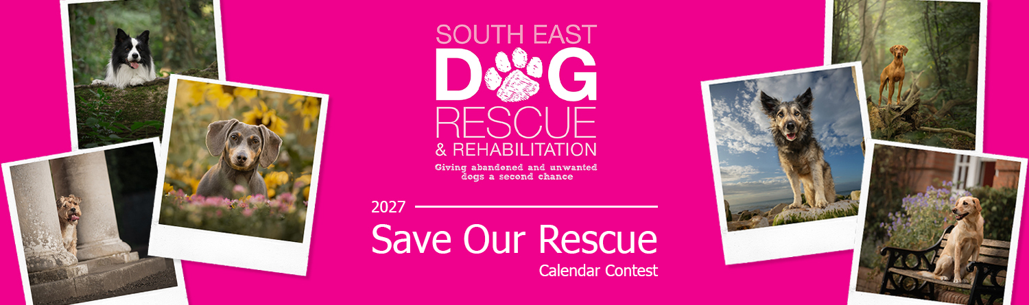 Banner for 2027 Save Our Rescue Calendar Contest