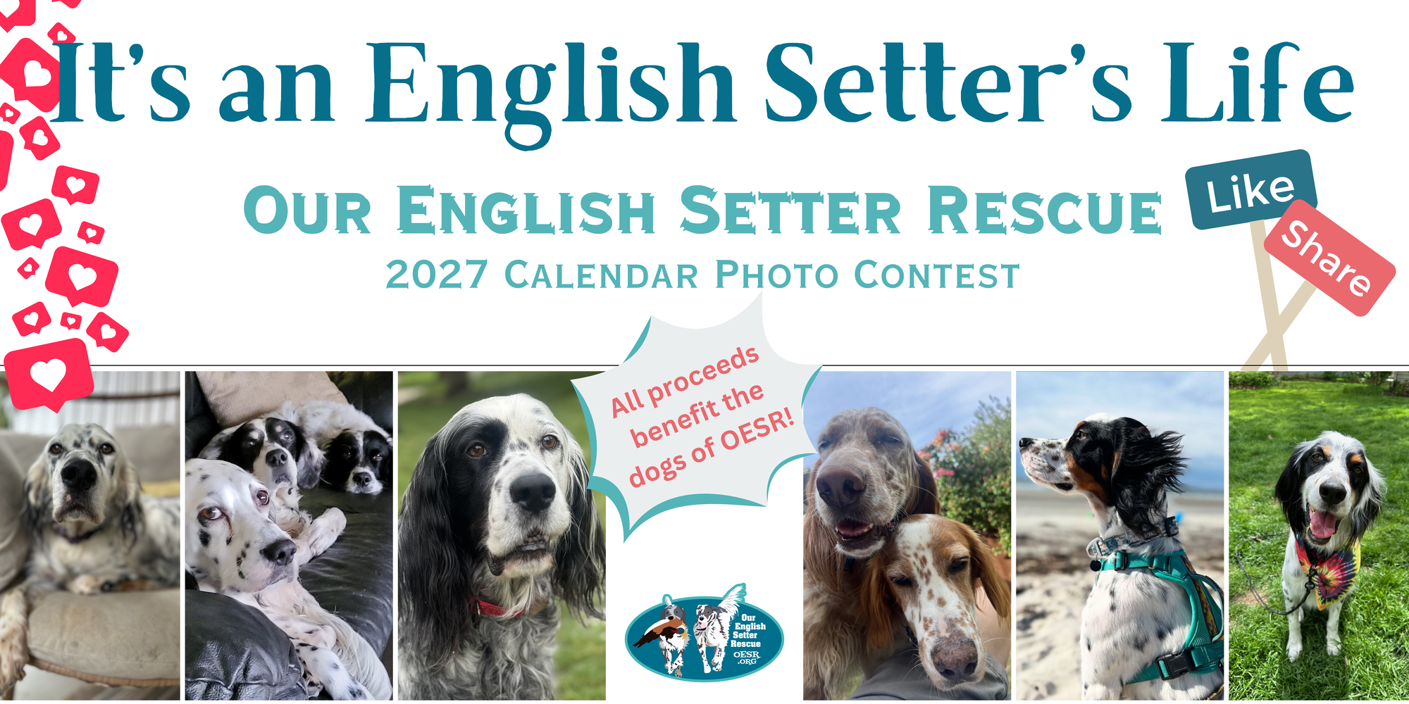 Banner for "It's an English Setter's Life" 2027 Calendar