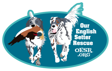 Logo for "It's an English Setter's Life" 2027 Calendar