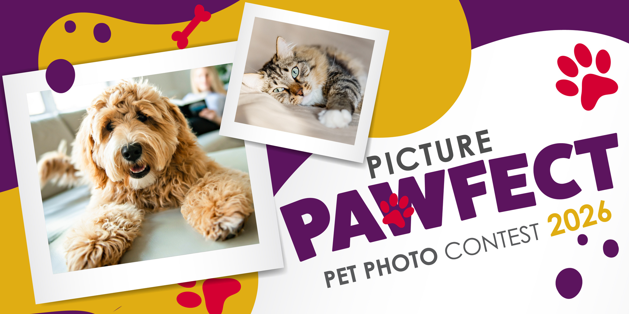 Banner for Picture Pawfect Pet Photo Contest