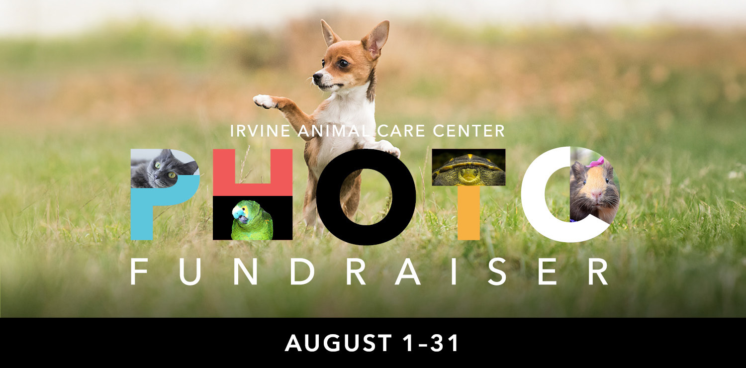 Banner for Irvine Animal Care Center 2026 Photo Fundraiser