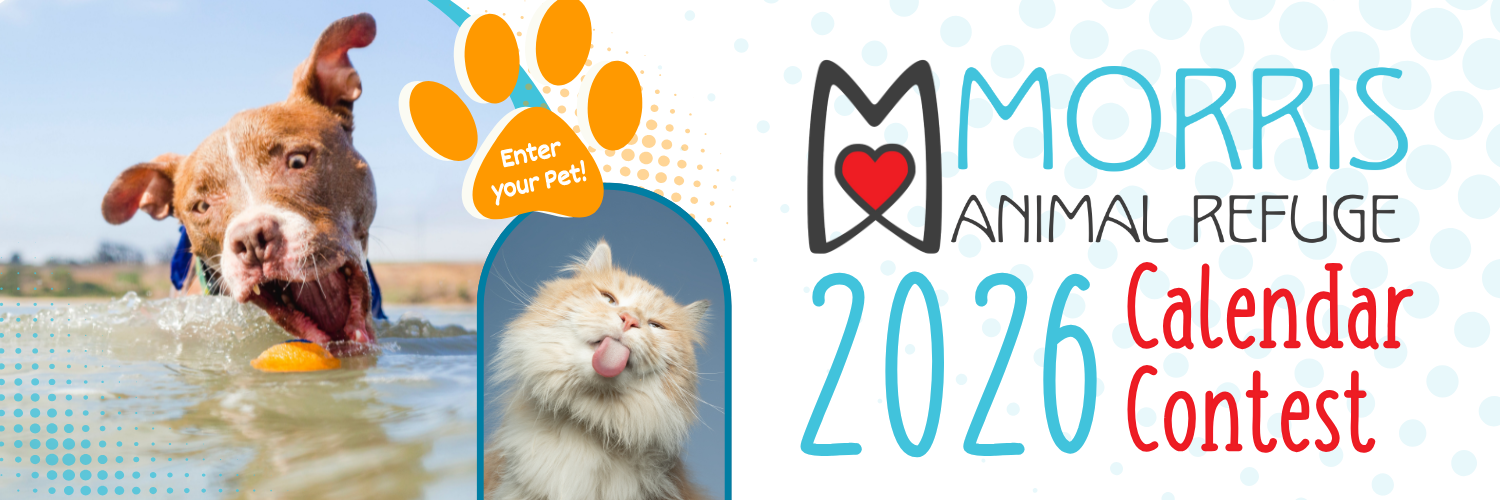 Banner for Morris Animal Refuge’s 2027 Calendar Contest