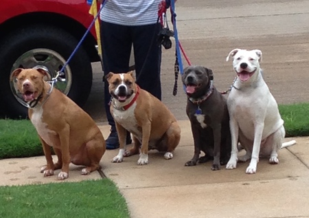 Theo, Cadillac, Blue Mama, Buckley