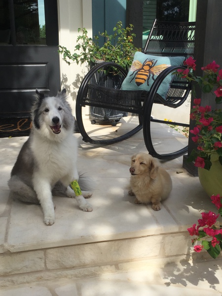 Bentley and Bandit