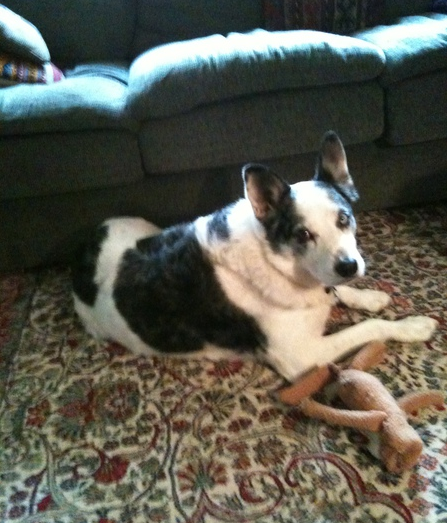 Casey