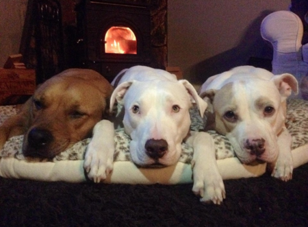 Russell, Percy and Sasha