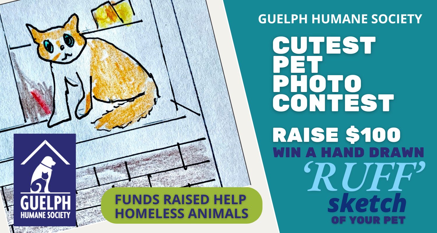 Banner for GHS Cutest Pet Photo Contest