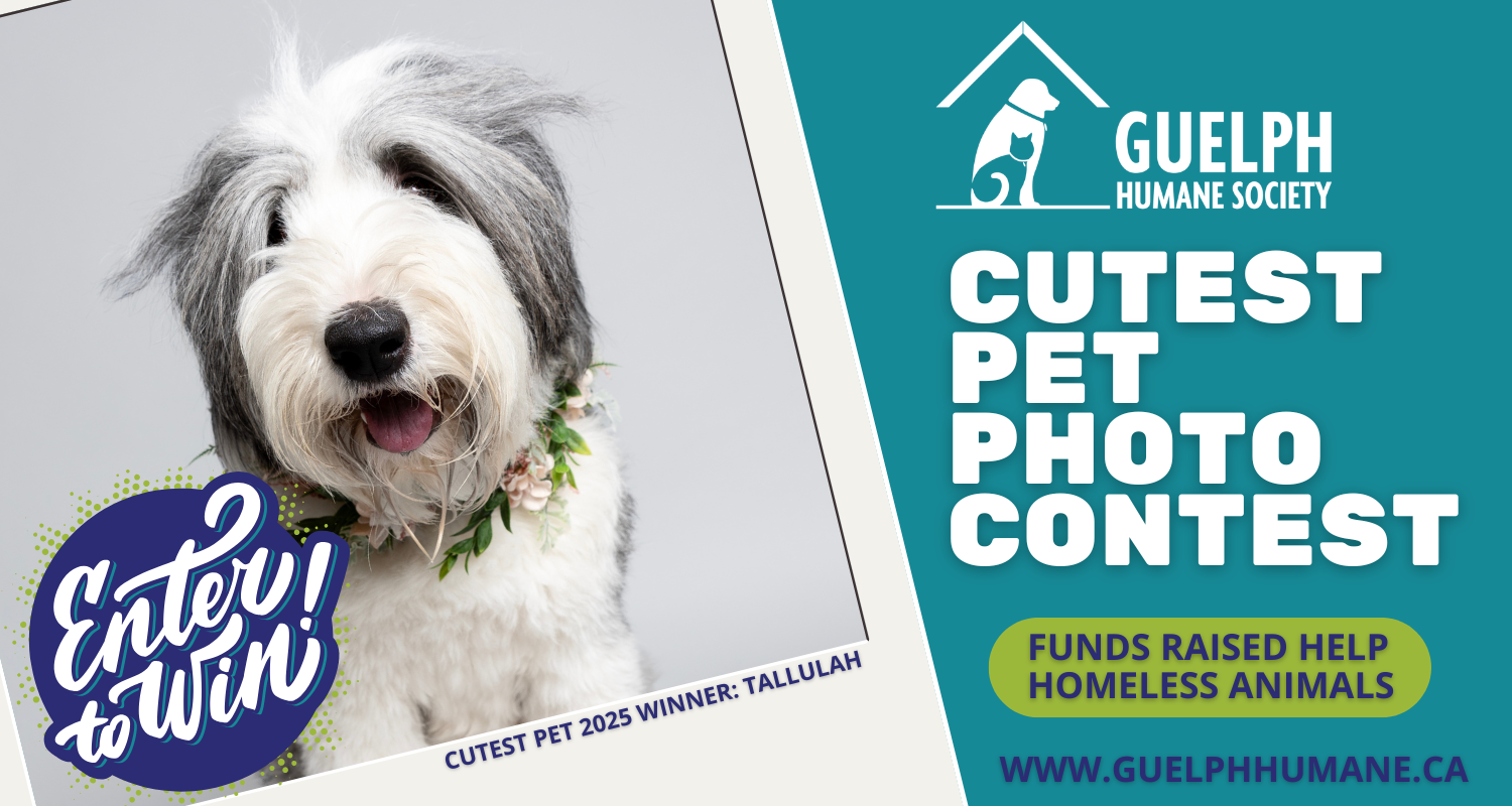 Banner for GHS Cutest Pet Photo Contest