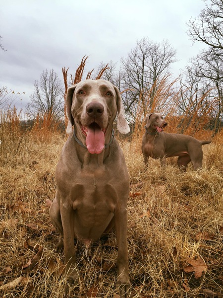 Sky & Sasha 