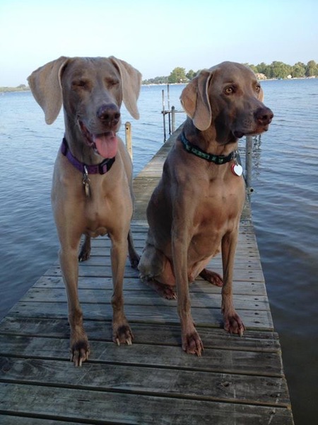 Gracie & Sammy