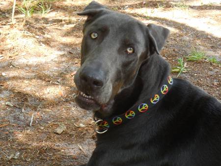 Parker aka Big Sexy 