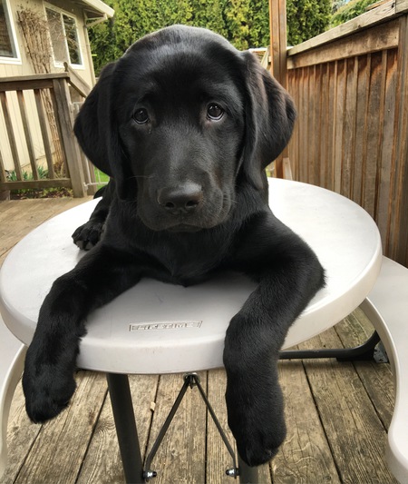 Lucy 