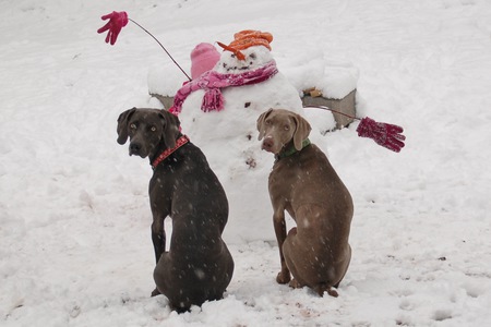 Skye & Spencer