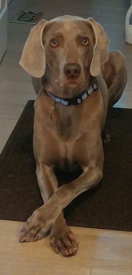 Sadie