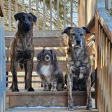 Entry image for Major, Remi, Hitch