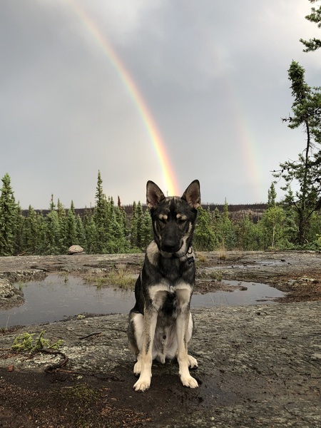 Entry image for Riggs. Clicking this image will show a larger photo