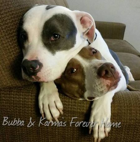 Bubba and Karma