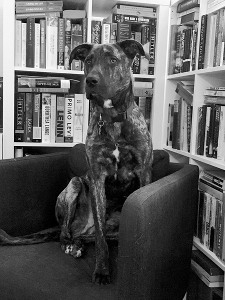 Rufus