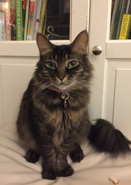 Mirabelle