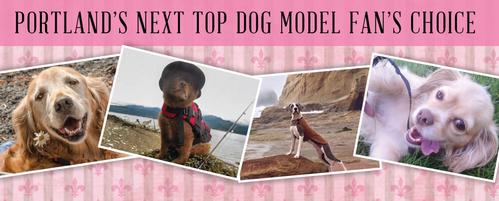 Banner for Portland's Next TopDog Model