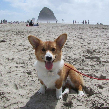 Entry image for Gizmo Lam . Clicking this image will show a larger photo