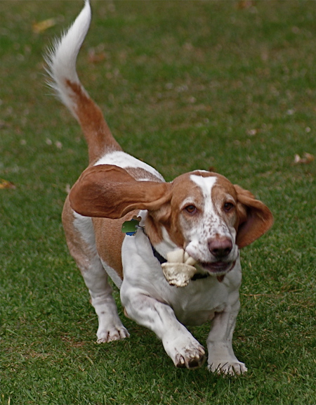 Entry image for Fred. Clicking this image will show a larger photo