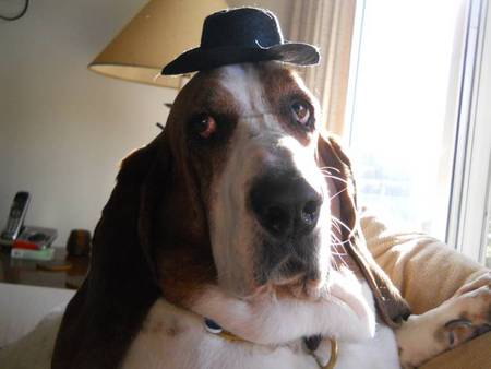Entry image for Buford. Clicking this image will show a larger photo