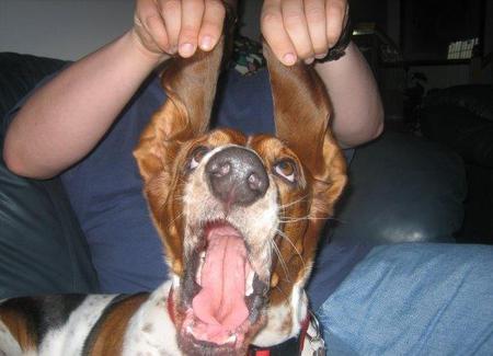 Entry image for Floyd. Clicking this image will show a larger photo
